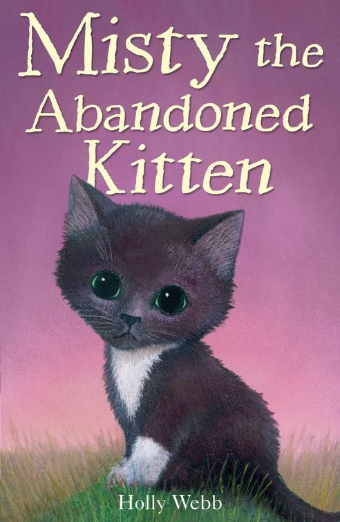 Обложка книги «Misty The Abandoned Kitten»