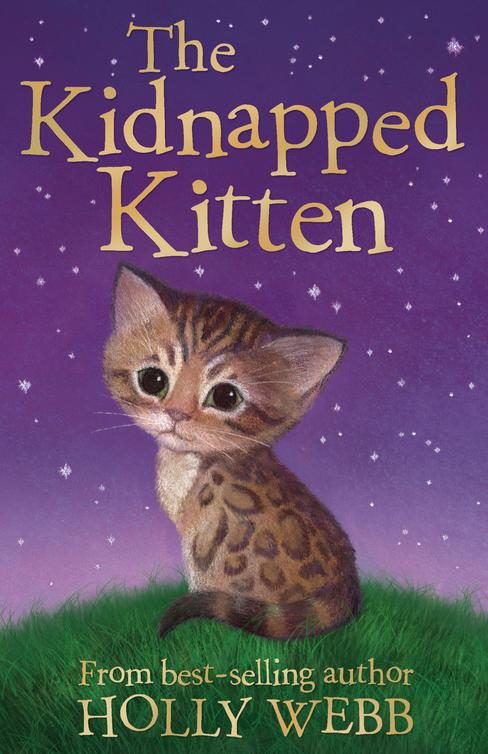 Обложка книги «The Kidnapped Kitten»