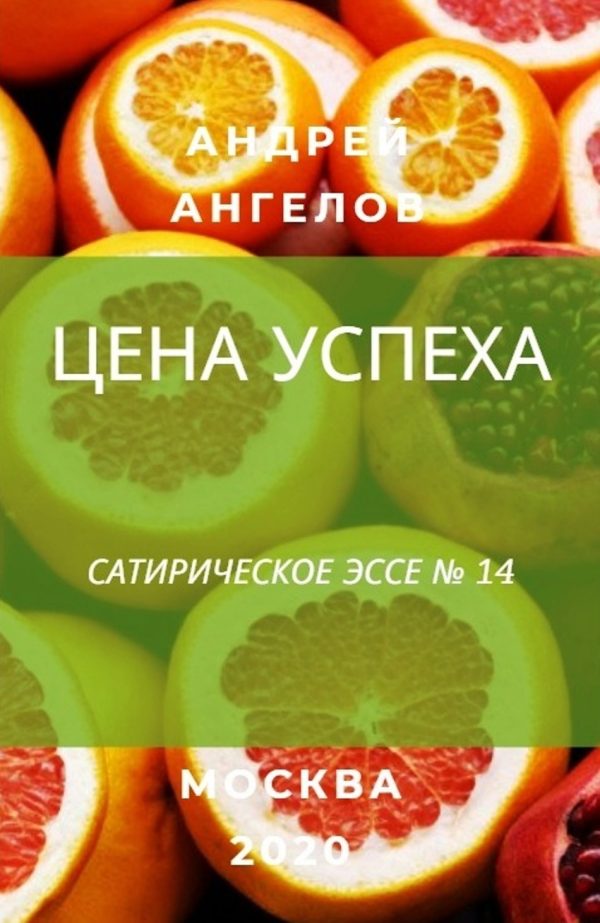 Обложка книги «Цена успеха»