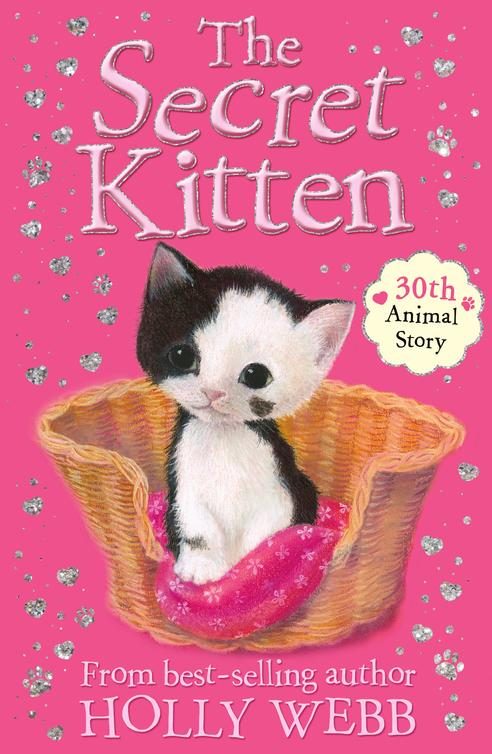 Обложка книги «The Secret Kitten»