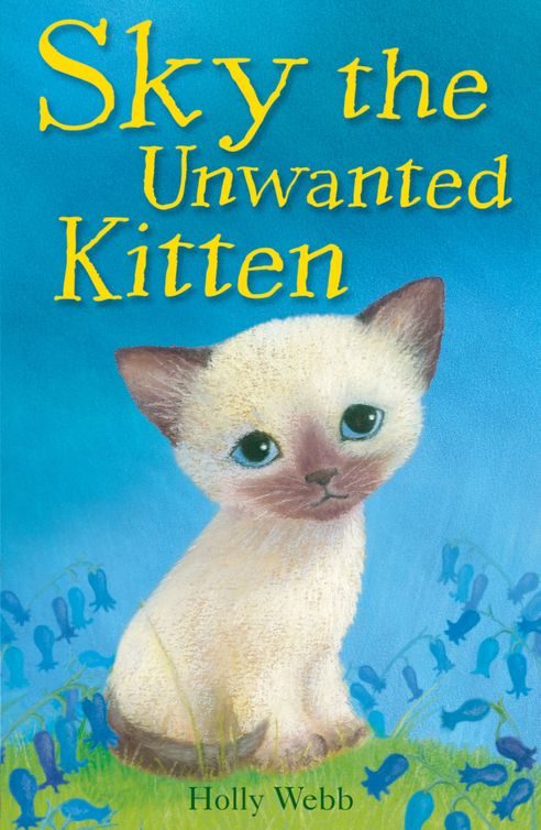 Обложка книги «Sky The Unwanted Kitten»