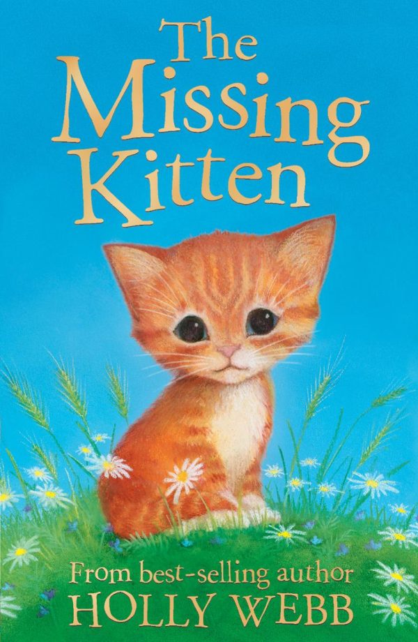 Обложка книги «The Missing Kitten»