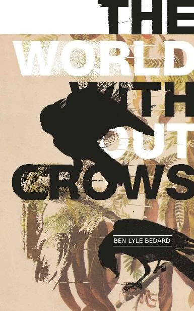 Обложка книги «The World Without Crows»