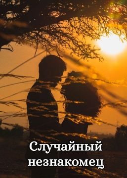 Обложка книги «Случайный незнакомец»
