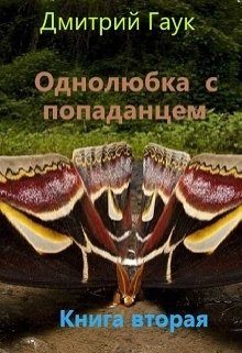 Обложка книги «Однолюбка с попаданцем»