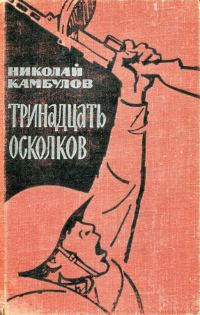 Обложка книги «Тринадцать осколков»