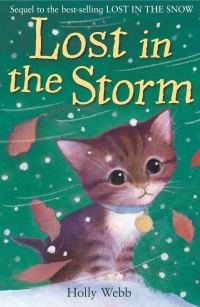 Обложка книги «Lost In The Storm»