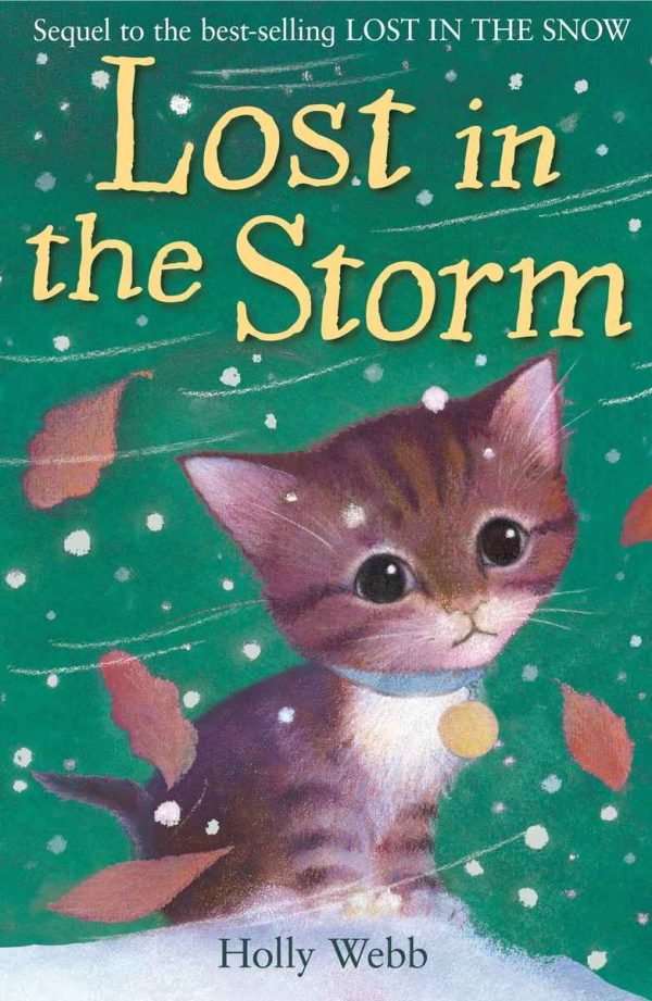 Обложка книги «Lost In The Storm»