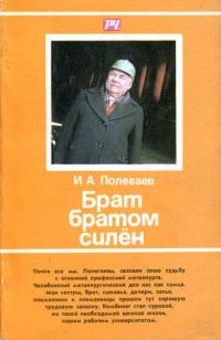 Обложка книги «Брат братом силён»