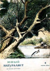 Обложка книги «Юный натуралист 1938 №06»