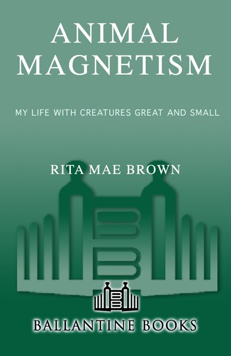 Обложка книги «Animal Magnetism»