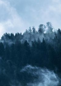 Обложка книги «Седьмые врата»