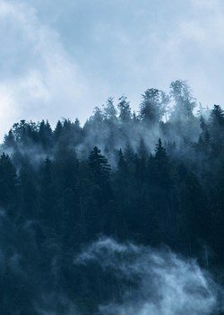 Обложка книги «Седьмые врата»