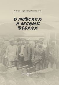 Обложка книги «В людских и лесных дебрях»