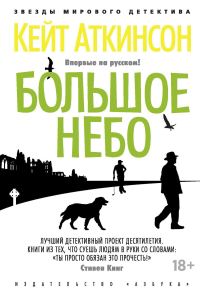 Обложка книги «Большое небо»