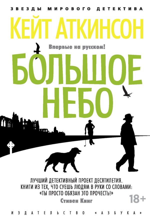 Обложка книги «Большое небо»