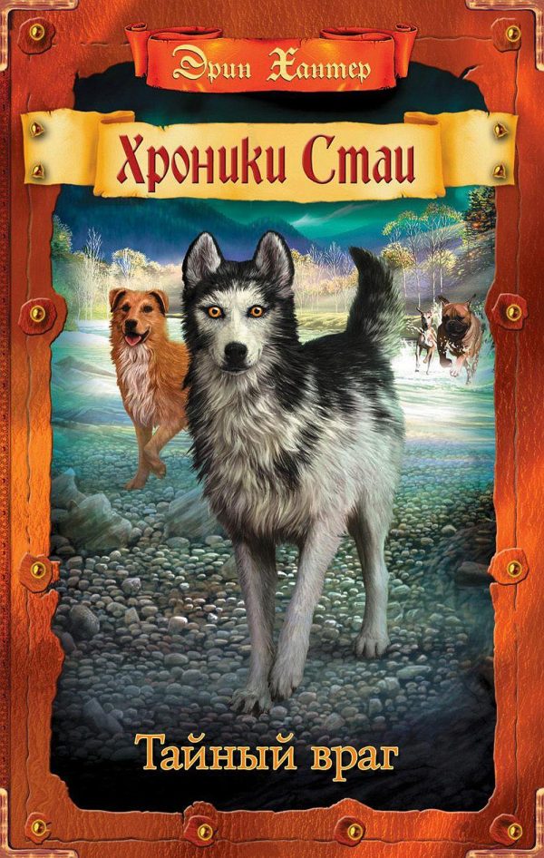 Обложка книги «Тайный враг»