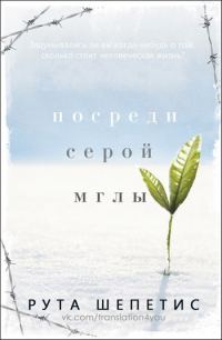 Обложка книги «Посреди серой мглы»