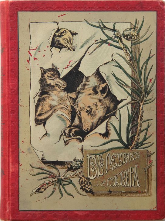 Обложка книги «В дебрях Севера. Приключения волка, медведя и лисицы»