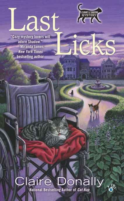 Обложка книги «Last Licks»
