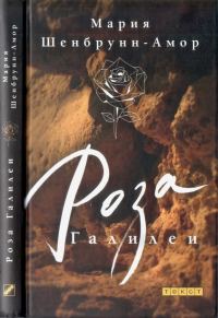 Обложка книги «Роза Галилеи»