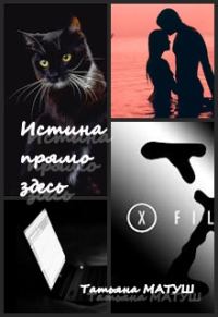 Обложка книги «Истина прямо здесь»