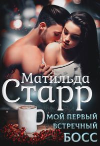 Обложка книги «Мой первый встречный босс»