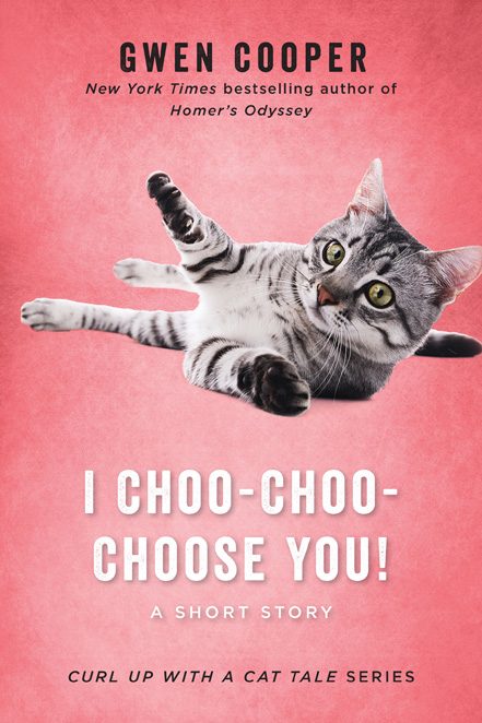 Обложка книги «I Choo-Choo-Choose You!»