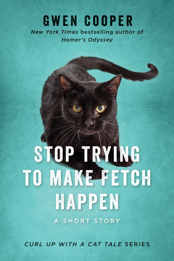 Обложка книги «Stop Trying To Make Fetch Happen»