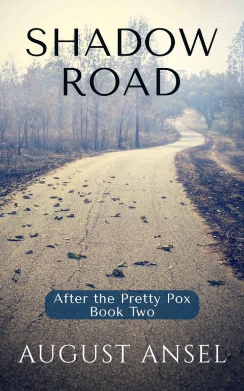 Обложка книги «Shadow Road»