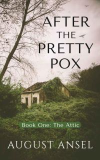 Обложка книги «The Attic»