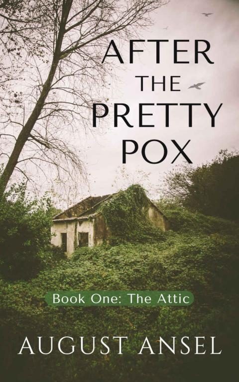 Обложка книги «The Attic»