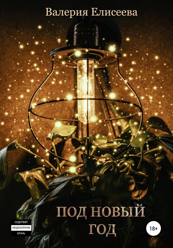 Обложка книги «Под Новый год»