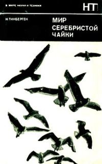 Обложка книги «Мир серебристой чайки»