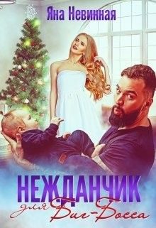 Обложка книги «Нежданчик для Биг-Босса»