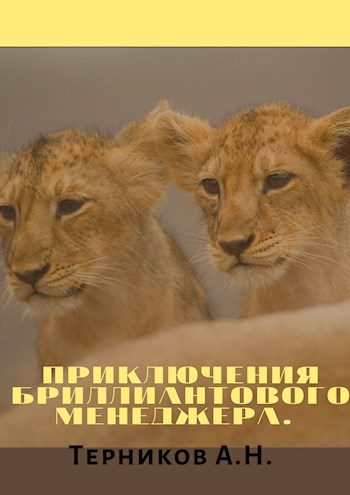 Обложка книги «Приключения бриллиантового менеджера»