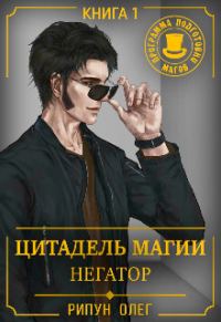 Обложка книги «Негатор»