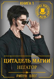 Обложка книги «Негатор»