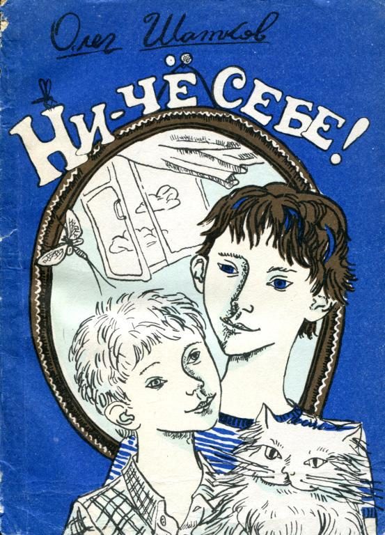Обложка книги «Ни-чё себе!»