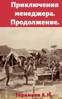 Обложка книги «Приключения менеджера. Продолжение»