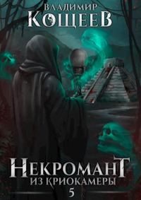 Обложка книги «Некромант из криокамеры 5»