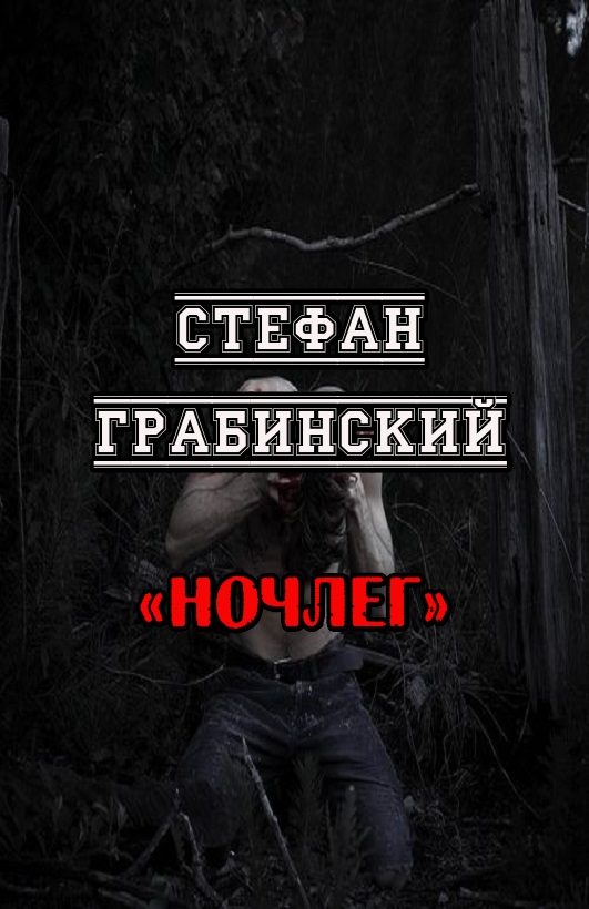 Обложка книги «Ночлег»