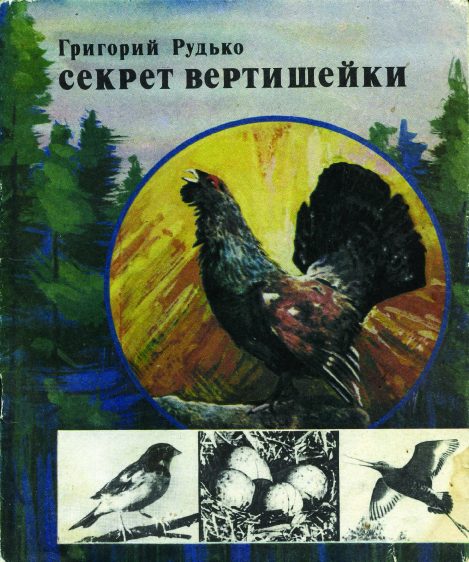 Обложка книги «Секрет вертишейки»