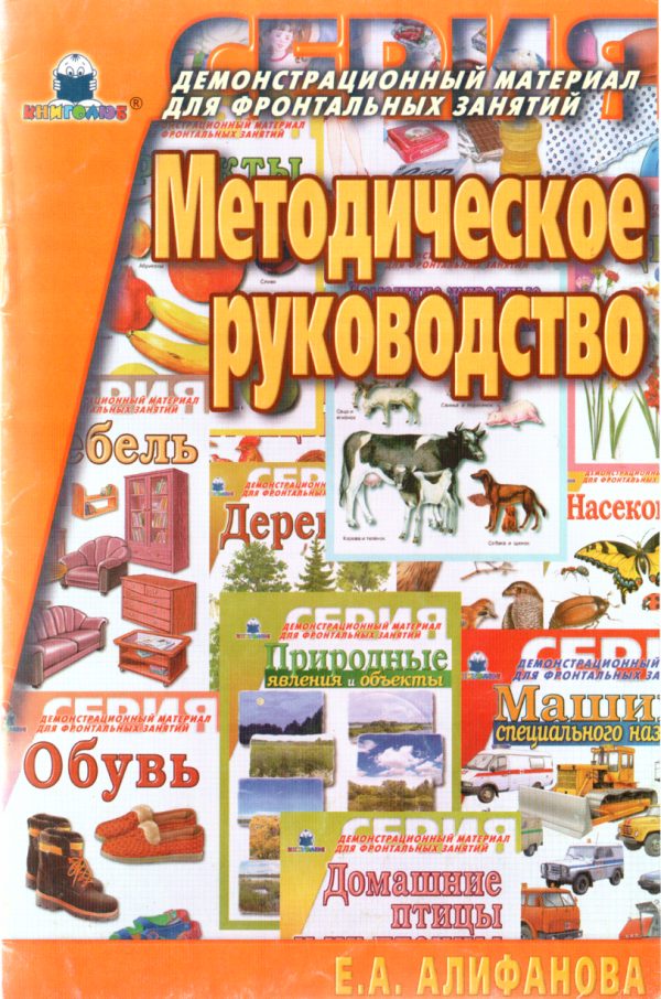 Обложка книги «Методическое руководство»