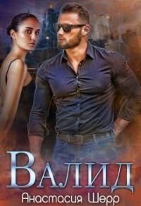 Обложка книги «Валид»