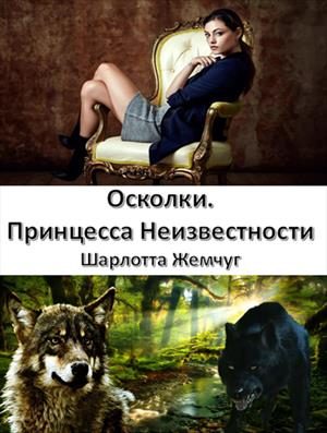 Обложка книги «Осколки. Принцесса Неизвестности»