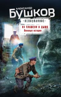 Обложка книги «Из пламени и дыма. Военные истории»