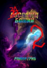 Обложка книги «Засланец Божий 2»