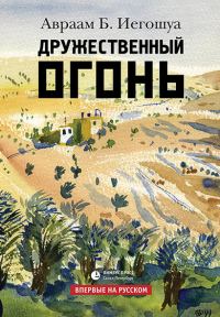 Обложка книги «Дружественный огонь»