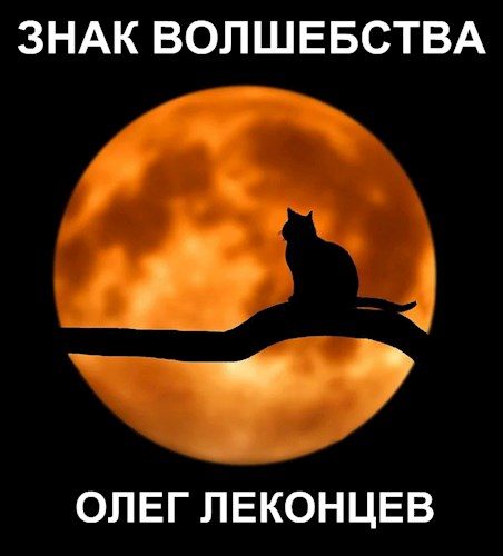 Обложка книги «Знак волшебства»